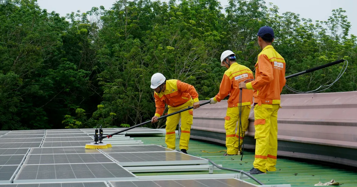 Technicien entretient et nettoie des panneaux solaires sur une toiture