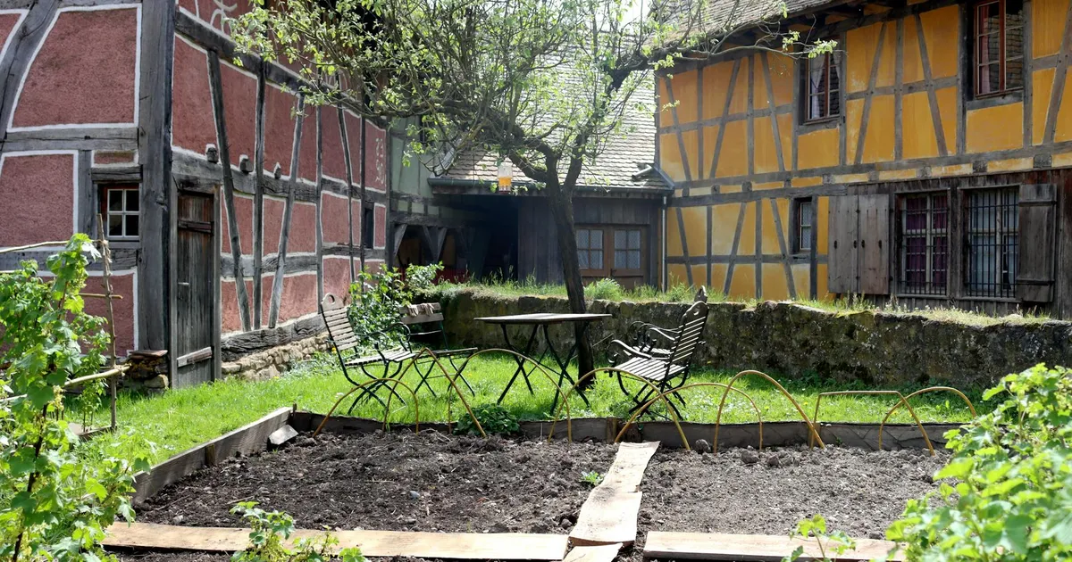 Maison à Grand Est équipée de panneaux solaires photovoltaïques sur sa toiture