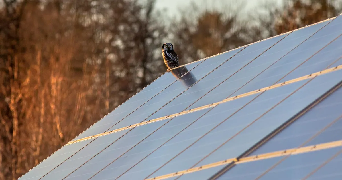 Technologies panneau solaire TOPCon HJT et bifacial pour résidentiel